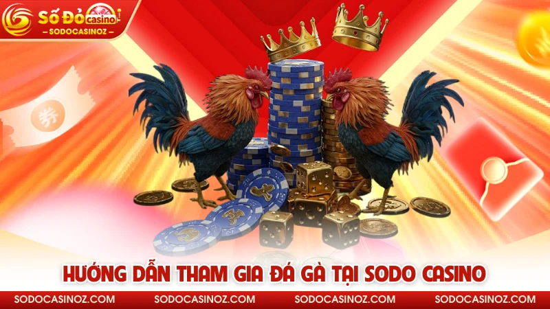 Hướng dẫn tham gia đá gà tại SODO CASINO