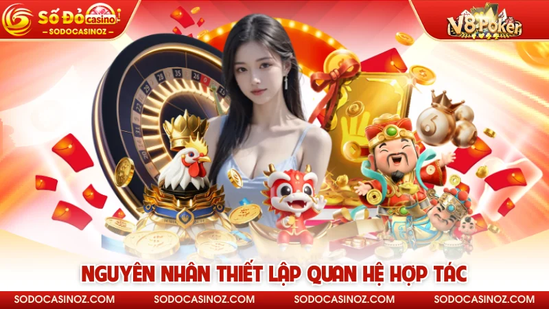 Nguyên nhân thiết lập quan hệ hợp tác