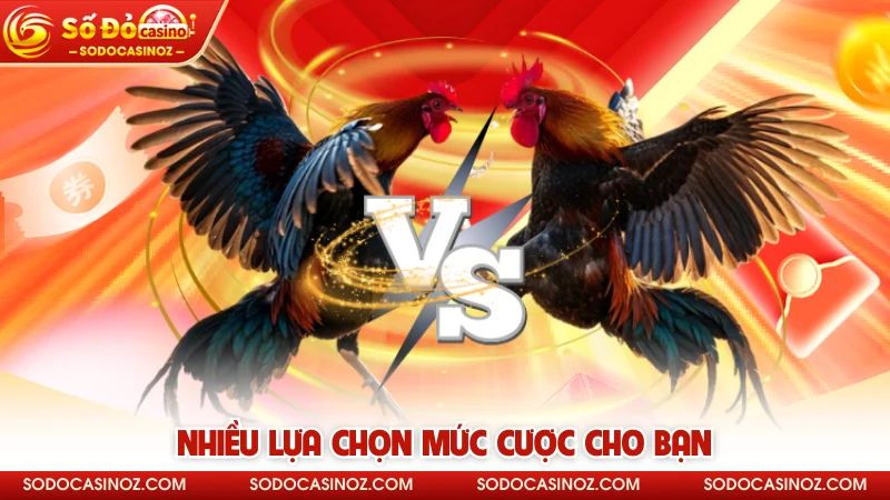 Nhiều lựa chọn mức cược cho bạn