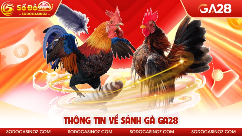 Thông tin về sảnh gà GA28